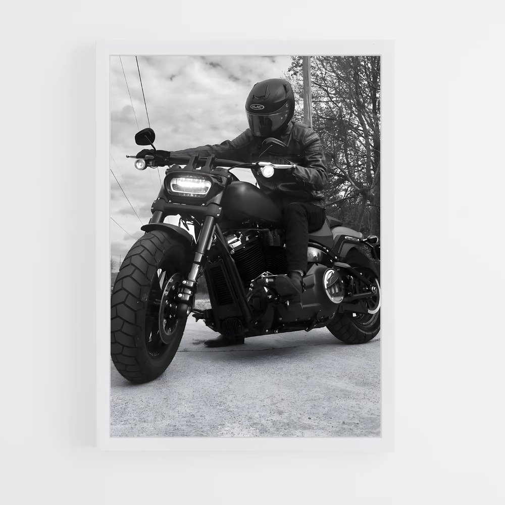 Poster splendide Low rider s – affiche Harley-Davidson (vue 3)